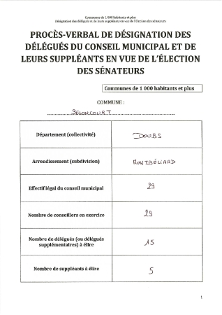 PV DESIGNATION DES DELEGUES ET SUPPLEANTS DU CM